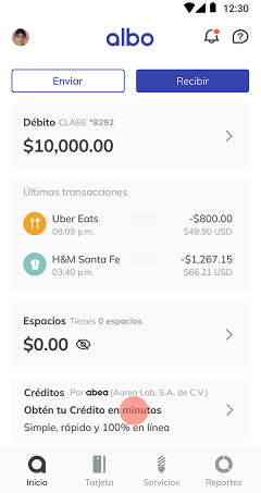 Home screen with credit product card